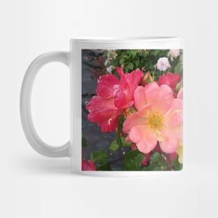 Rose Flowers Red and Yellow Mug